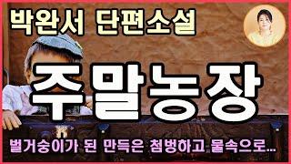 박완서 단편소설 [주말농장] 이놈아, 인제 허파에 바람일랑 쭈욱 빼고 정신 좀 차려. 이 세상에 믿을 거라곤 콩 심은 데 콩 나고 팥  팥 나는 땅뎅이 밖에 없어.