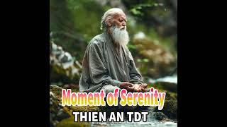 Moment of Serenity - THIEN AN TDT (P.3) Soothing healing relaxation #thienantdt