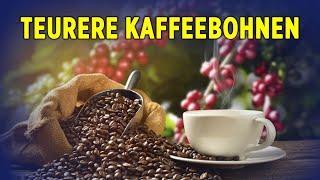 Preis für Kaffeebohnen hat sich seit 2020 verdoppelt