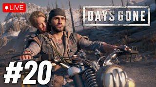 Days Gone - Can I Survive in Zombieland?  Live Stream