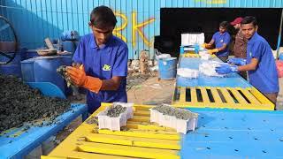 YELLOW PAVER BLOCK MAKING PROCESS / INTERLOCKING TILE MAKING PROCESS / HOW TO MAKE GLOSS PAVER BLOCK