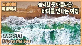 [ENG SUB] Pohang trip/Korea travel documentary/Korea travel destination