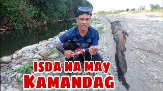 Ugat At Sanga Ng Mga Puno Na Nasa Tubig Binahayan Ng Mga Isdang May Kamandag.