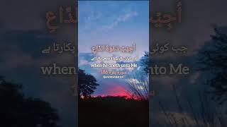 qurantranslation- Quran forever #quran #shorts #youtubeshorts