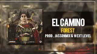 07. El Camino - Forest (El Rey Del Mambo)