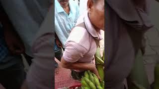 "Harvest on the Move: Transporting Fresh Vegetables"