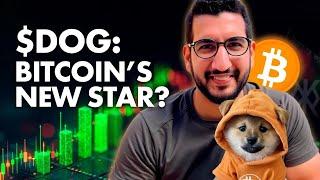 $DOG GO TO THE MOON How to Buy and Why It’s Poised to Soar