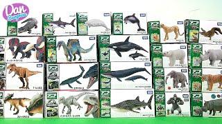 Dinosaurs, Wild Animals, Sea Animals from Takara Tomy