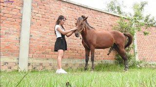 NOVINHA GOSTOSA DEIXOU O CAVALO MALUCO