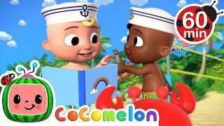 Big Beach Exploration! |  CoComelon | Cartoons for Kids - Explore With Me!