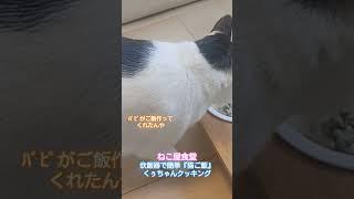 #くぅちゃんクッキング#炊飯器#簡単#猫ご飯#手作り猫ご飯#野良猫#猫#保護猫#ペット#犬#らーめん#塩らーめん#味噌ラーメン#喜多方ラーメン#炒飯#チャーシュー#餃子#カシスオレンジ#みれい