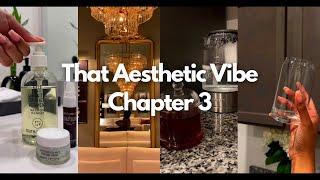 That Aesthetic Vibe Chapter 3 - The Aesthetic Corner