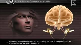 VRT - Vestibular Rehabilitation Therapy