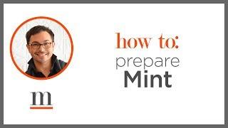 How to Cook with Herbs: Mint — Marc J. Sievers