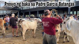 Update Prices Cattle Trading Capital Of the Philippines Padre Garcia Batangas Livestock Auction.