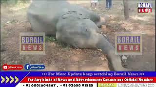 One wild Elephant death due to electric shock at 8Kilo in Umrangso.