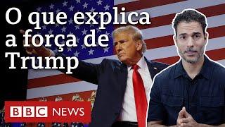 Trump eleito: as razões que explicam o forte desempenho em distintos segmentos nos EUA