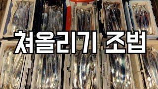 갈치텐빈 조과보장 선장님이 말하는 쳐올리기 방법