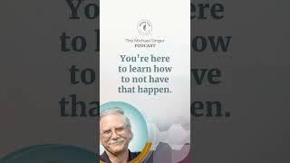 Life as a Teacher: Lessons in Acceptance and Clarity | The Michael Singer Podcast - Audiogram