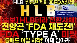 [HLB] [속보]  HLB 진양곤 "FDA 재도전!" feat. HLB' TYPE A 이후 FDA 구체적 신청 로드맵 확정!'
