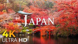 12 HOURS DRONE FILM JAPAN 4K - Stunning Footage JAPAN, Scenic Relaxation Film with Calming Music