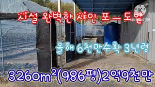 @no.367 샤인포도밭 착한농부의땅 054 335 0605