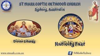 Sunday Divine Liturgy "Nativity Fast" 29/12/2024