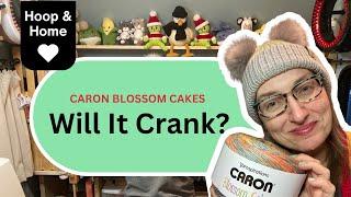 Caron Blossom Cakes Yarn  Will it Crank?