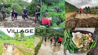 Preparation for Rice Plantation (Paddy Field) | New Chingmei | Nagaland..#Mukbang