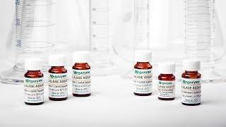 Cellulase Assay Protocol with K-CellG5