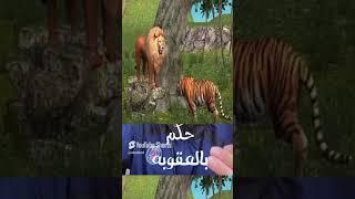 لا تجادل الحمار