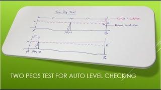 Auto level 2 Pegs test demo video