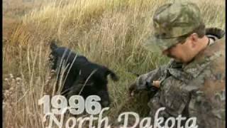 Hunting Dog Memories-Bill Miller-North American Hunting Club