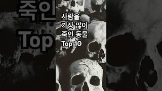 사람을 가장많이 죽인 동물 Top 10 #동물 #무서운동물 #랭킹