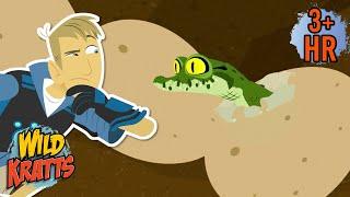 Into the Crocodile's Nest | Full Episodes | Wild Kratts