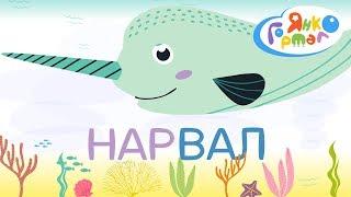  Читаємо по складах. Морські мешканці українською. Самостійне читання