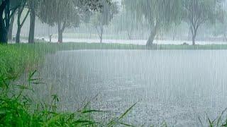 Heavy Downpours on Water. Sleep fast with Rain Sounds On the Lake. White Noise for Relaxation