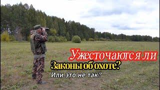 Ужесточаются ли законы об охоте?