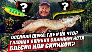 Щука осенью: где и на что? Какая главная ошибка спиннингиста? Блесна или силикон: что эффективнее?