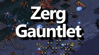 Running the Zerg Gauntlet  - Starcraft Broodwar