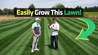 Grow A Stunning Lawn Easily With Expert Tips from MySoil