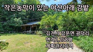 (230616) 야산아래 아늑한 위치. 포포나무,대봉감밭 2258평.계획관리지역.매매가 1억7천만원/경북 김천시 감문면 광덕리