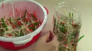 Vietnamese Food Bean Sprout Pickles - Day Nau An Dua Gia - Dưa Giá