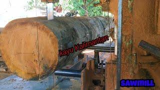 sawmill. sawing super keruing wood For beams, ribs and others