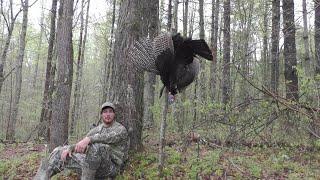 Shortest Turkey Hunt Ever! Opening Day Ohio Turkey Season 2023