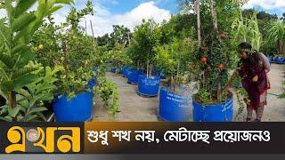 ছাদে ছাদে সবজি আর ফলের বাগান | Rooftoop garden | Faridpur | Ekhon TV