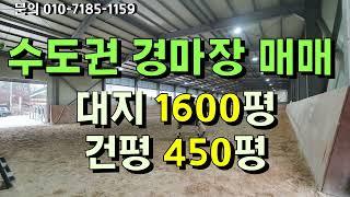 경기도 수도권 승마장 매매 // 대지1600평 건평450평 / 운동시설허가 / 320평 실내 / 60평 승마집 / 60평사무실  초보자용천막 두동 / 야외마당 / 매매 40억