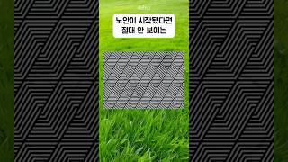 노안은 절대 안보이는 시력나이 테스트 눈건강 퀴즈