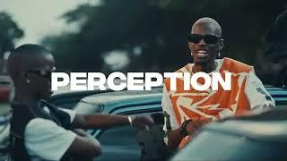 Amapiano Instrumental 2024 - "Perception" Rema x Burna Boy Type Beat | President Productions