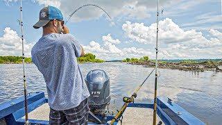 Fishing Logjams for FLATHEAD CATFISH